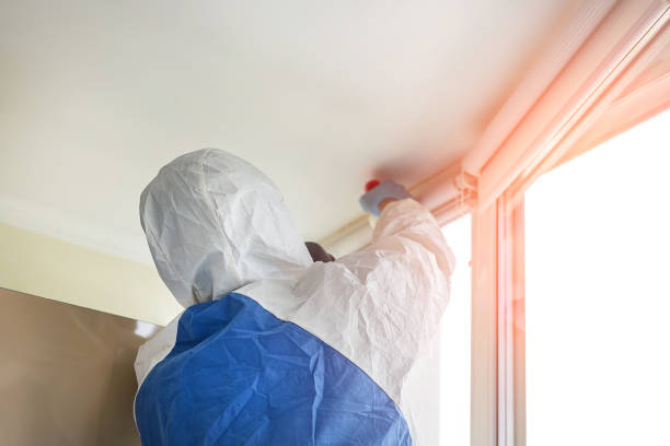 Mold Remediation for Vacation Homes in South El Monte, CA