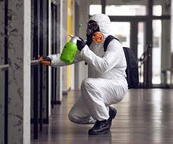 Mold Odor Removal Services in South El Monte, CA